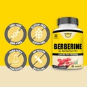 berberine-1200mg-per-serving-as-berberin-3.jpg