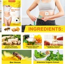 bee-venom-patchesbee-venom-lymphatic-dra-4.jpg