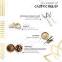 kerala-ayurveda-gastric-relief-herbal-ta-2.jpg