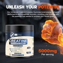sg-creatine-monohydrate-gummies-for-men--6.jpg