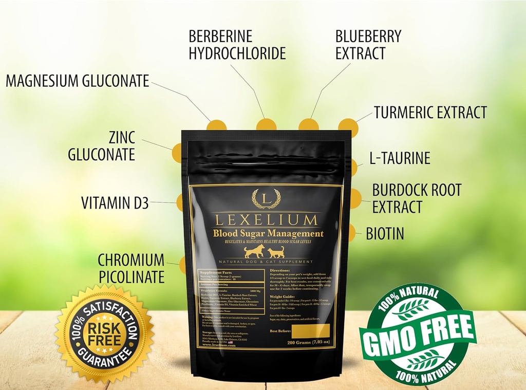 blood-sugar-management-for-diabetic-dogs-3.jpg