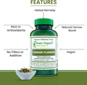green-organic-supplements-yarrow-flower--3.jpg