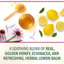 ricola-honey-lemon-with-echinacea-cough--3.jpg