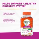 align-probiotic-kids-gummies-prebiotic-p-2.jpg