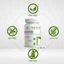 ultra-strength-hmb-supplements-3000mg-pe-3.jpg