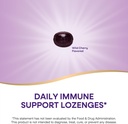 natures-way-sambucus-immune-lozenges-hig-4.jpg