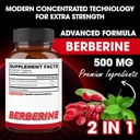 agobi-berberine-supplements-500mg-with-g-2.jpg