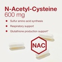 protocol-nac-with-selenium-and-molybdenu-4.jpg