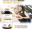 turmeric-and-ginger-capsules-turmeric-cu-5.jpg
