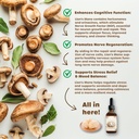 lions-mane-tincture-organic-brain-focus--2.jpg