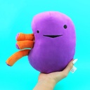 i-heart-guts-kidney-plush-9-educational--3.jpg