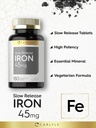carlyle-slow-release-iron-45-mg-180-tabl-3.jpg