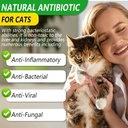 antibiotics-for-cats-natural-antibiotic--3.jpg