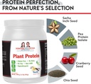 vegan-plant-protein-vanilla-dca-nutritio-6.jpg
