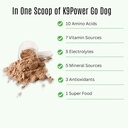 k9-power-go-dog-hydration-performance-dr-4.jpg