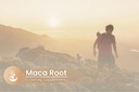 pure-original-ingredients-maca-root-100--5.jpg