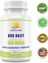 our-daily-vites-sea-moss-capsules-1500mg-3.jpg
