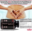 saba-digestive-eze-plusbroad-spectrum-pl-4.jpg