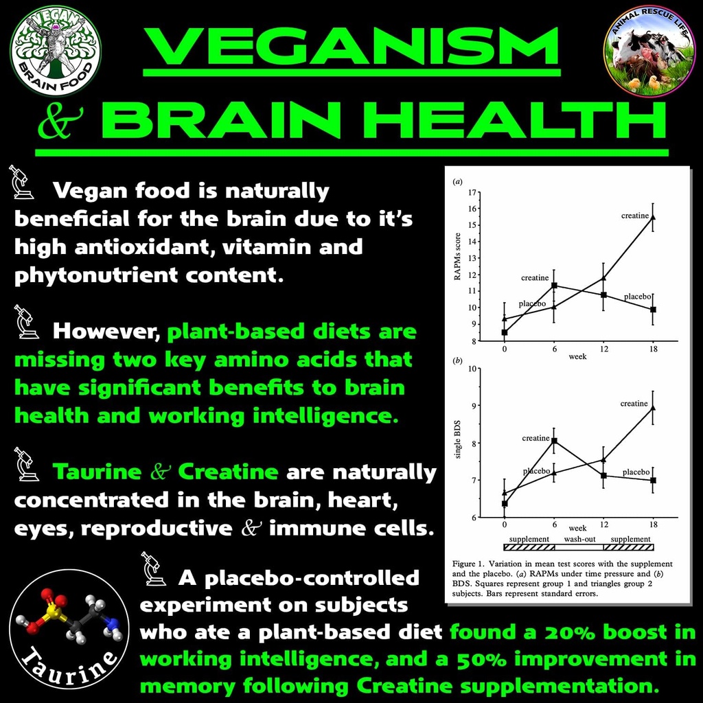 vegan-brain-body-boost-the-cherry-on-top-4.jpg