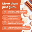 neurogum-energy-focus-gum-cinnamon-90-pi-3.jpg