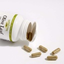 herbalfactors-by-natural-factors-olive-l-3.jpg
