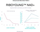 nad-supplement-with-nicotinamide-ribosid-4.jpg