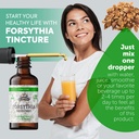 forsythia-tincture-organic-forsythia-ext-4.jpg