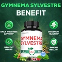 1000mg-gymnema-sylvestre-supplements---2-5.jpg