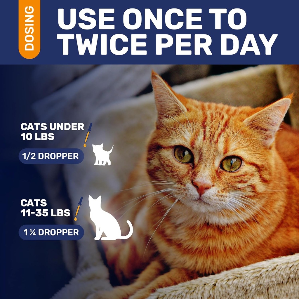 antibiotics-for-cats-in-drops-сat-respir-5.jpg