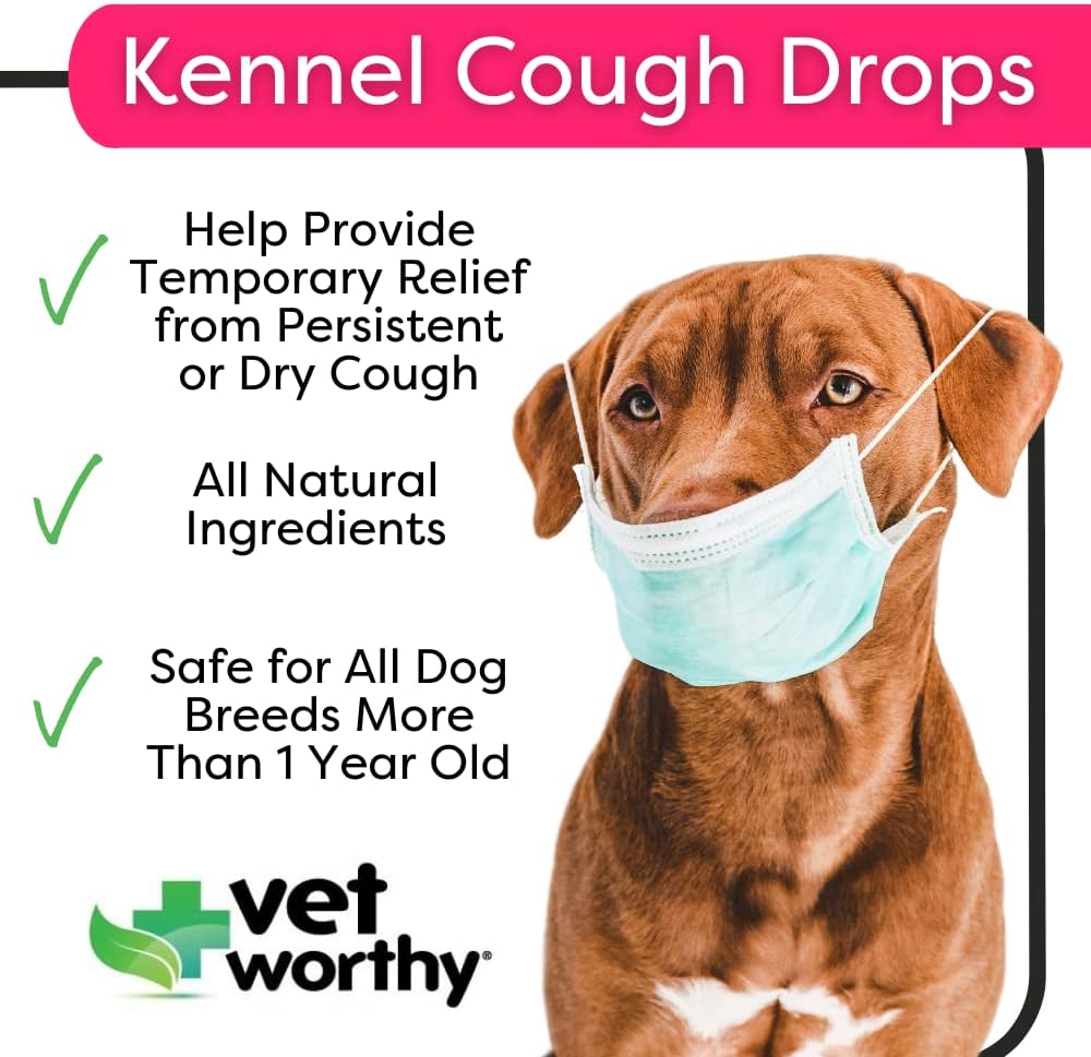 vet-worthy-kennel-cough-drops-for-dogs---2.jpg