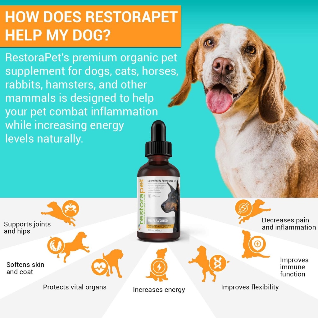 restorapet-4-pack-dog-cat-unflavored-liq-4.jpg