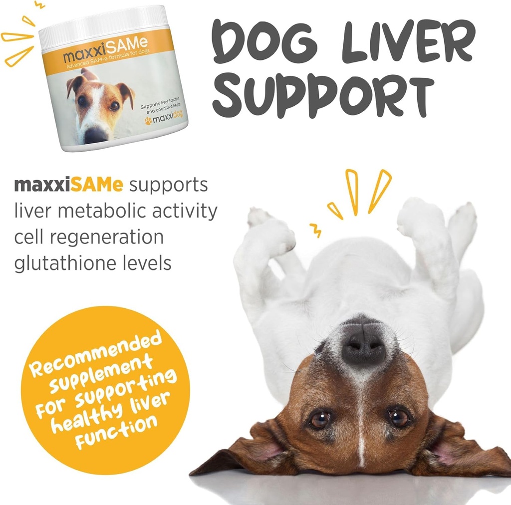 maxxipaws-maxxisame-advanced-sam-e-powde-2.jpg