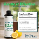 atlantic-naturals---1-day-colon-cleanse--3.jpg