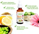 immune-strength-herbal-tincture-natural--3.jpg