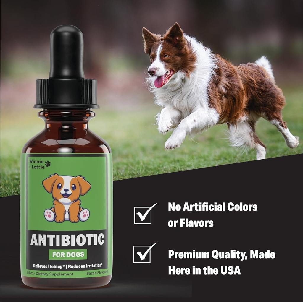 natural-dog-antibiotics---antibiotics-fo-4.jpg