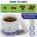 dog-prenatal-vitamins---supports-healthy-4.jpg