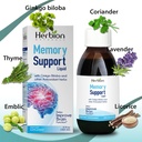 herbion-naturals-memory-support-liquid---4.jpg