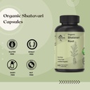 organic-shatavari-root-500mg-asparagus-r-5.jpg