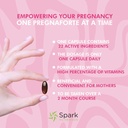 pregnaforte-1-a-day-prenatal-vitamins-fo-5.jpg