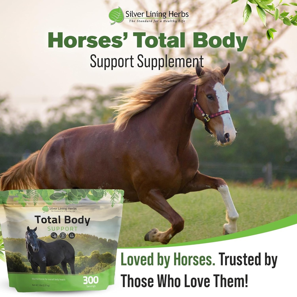 silver-lining-herbs-total-body-horse-sup-6.jpg