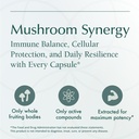 natura-health-products-mushroom-synergy--6.jpg