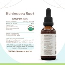 herbera-echinacea-root-b60-usda-organic--2.jpg