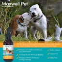 maxwell-pet-by-drgarber-hip-joint-for-do-4.jpg