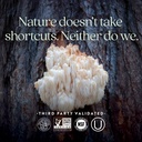 new-chapter-lions-mane-reishi-mushroom---5.jpg
