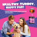 pupsnup--probiotics-for-dogs--support-gu-2.jpg