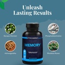 memory-brain-supplement-wvitamins-mental-4.jpg