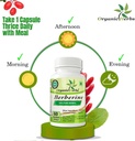 organic-herbsayurvedic-berberine-240-cap-3.jpg