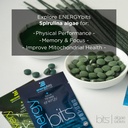 energybits---organic-spirulina-tablets---6.jpg
