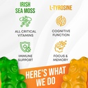irish-sea-moss-l-tyrosine-gummies---l-ty-4.jpg