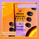 ethans-organic-drink-mix-elderberry-flav-2.jpg